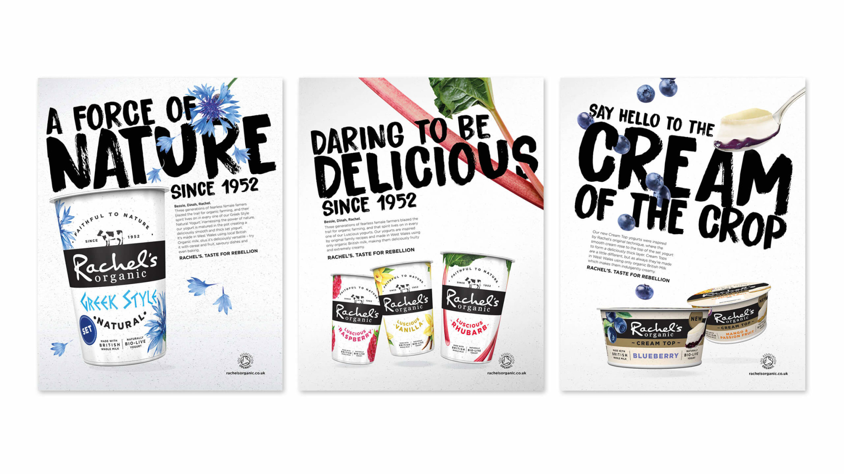 Rachels Full Page Ads 2880X1620px V1 Scaled 2880X1620 C Center Rachels Full Page Ads 2880X1620px V1 Scaled 2880X1620 C Center}